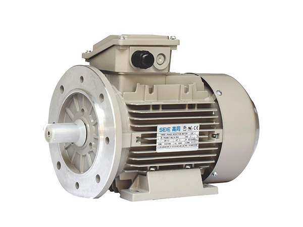 
Design principles of gear reduction motors
