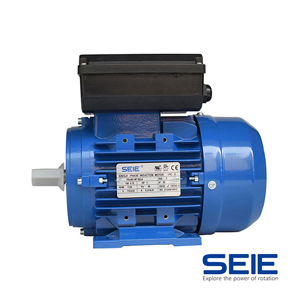 NEMA aluminum motor