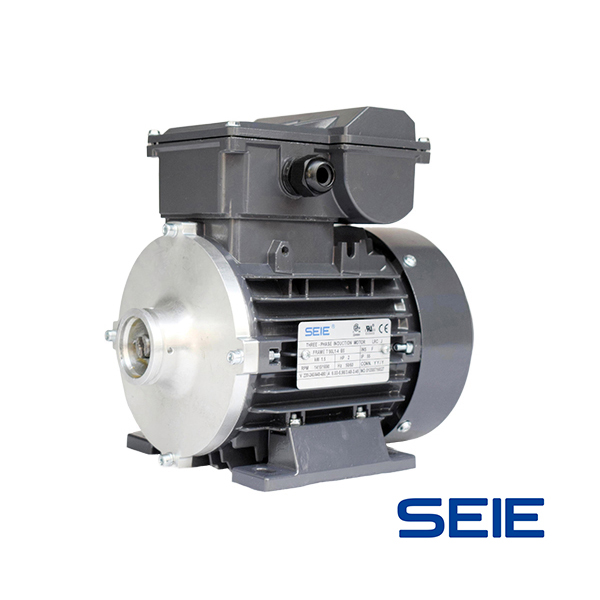 Oil pump motor